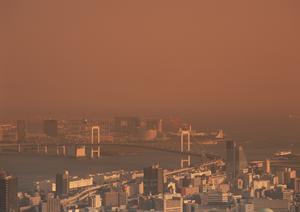 信頼できる宮崎市の不動産買取査定